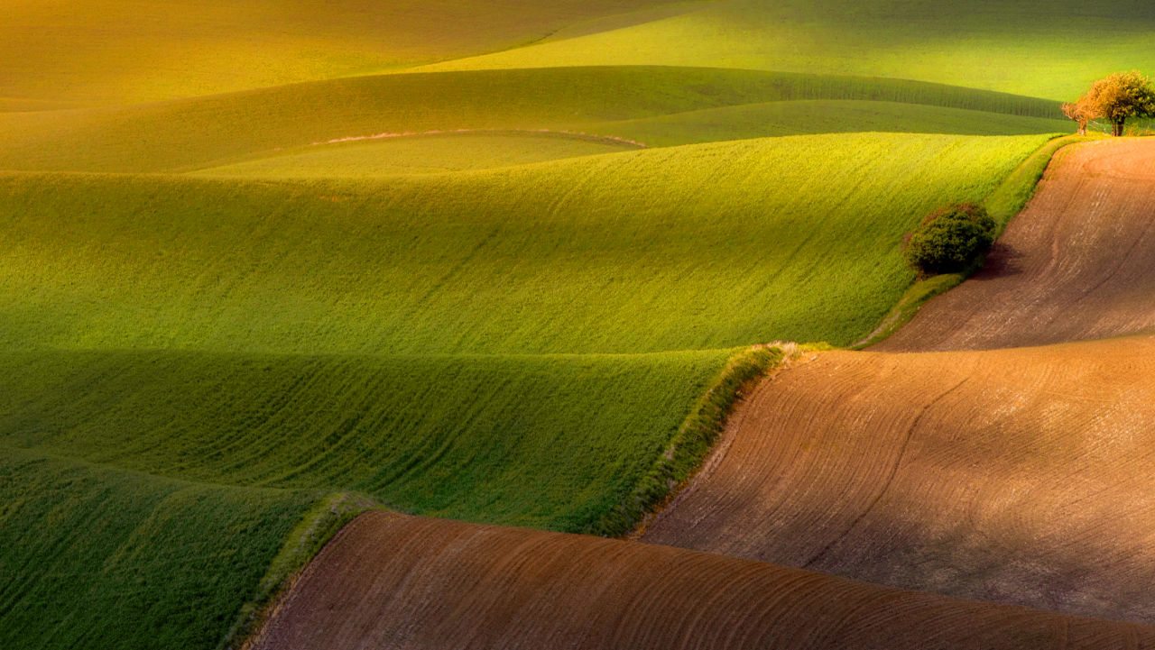 Rolling Hills